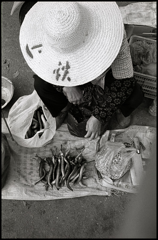 ©copyright Marco Giardini